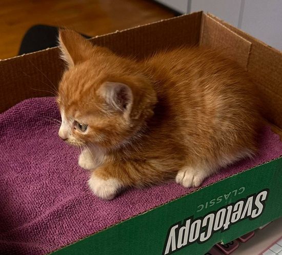 Фото: Пресс-служба «Национальной Лотереи»